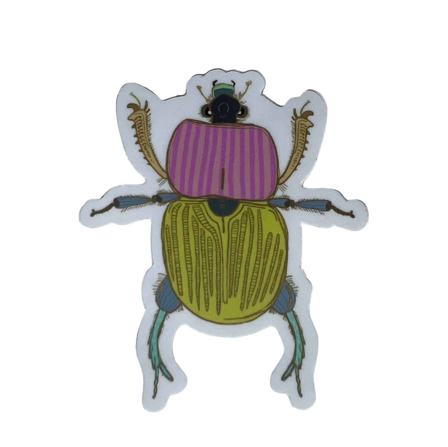 Striped Beetle Vinyl Sticker